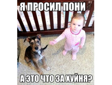 5G046XNb6ak.jpg