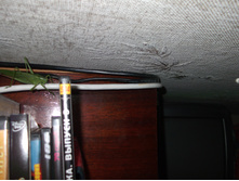 DSCF3618.JPG