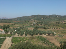 DSCF3733.jpg