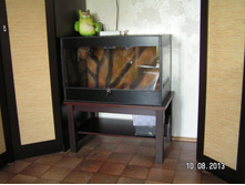 PICT0670.JPG