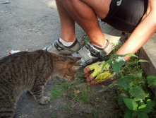 2013-08-10_16-55-54_432.jpg