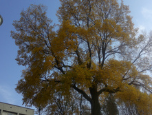 09102011026.jpg