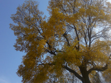 09102011028.jpg