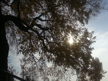 09102011029.jpg