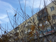 09102011034.jpg