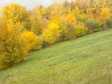 09102011038.jpg