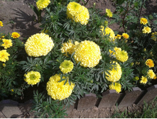 20130715_112030.jpg