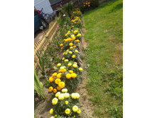 20130715_112107.jpg