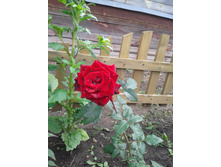 20130717_123828.jpg