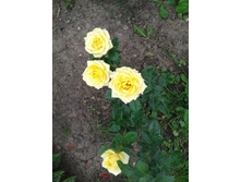 20130726_114939.jpg