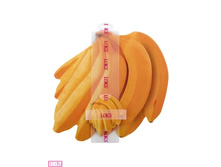 R300-401.87 ��� ����� �������� (6+6) 29*29/10*10.jpg