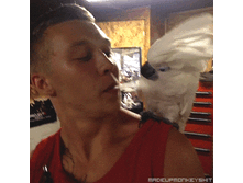 �������.gif
