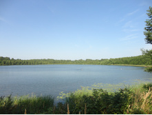 DSC02906.JPG