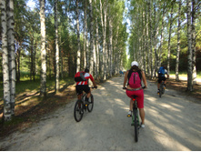 DSC02931.JPG