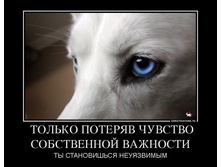 12.08.2013 10:27:03