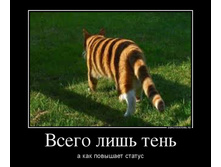 12.08.2013 11:48:42