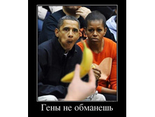 12.08.2013 11:49:21