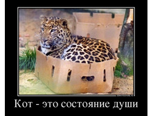 12.08.2013 11:49:29