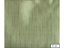 La vita sanzalize opt v-21.jpg