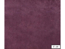 Coral soft v-19.jpg