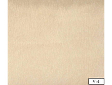 Coral soft v-4.jpg