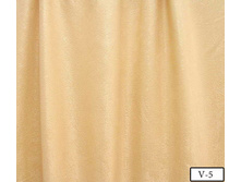 Coral Soft v-5.jpg