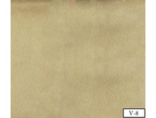 Coral soft v-8.jpg
