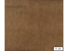 Coral soft v-10.jpg