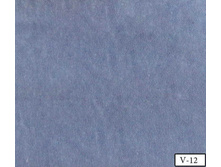 Coral soft v-12.jpg
