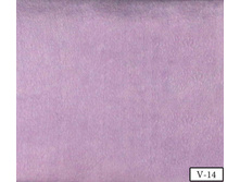 Coral soft v-14.jpg