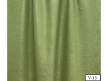 Coral Soft v-15.jpg
