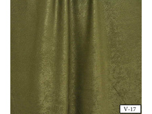 Coral Soft v-17.jpg
