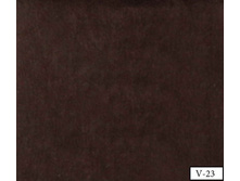 Coral soft v-23.jpg