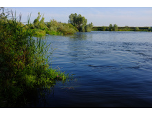 DSCF1646.JPG