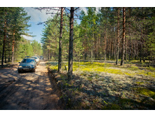 _DSC4012 - �����.jpg