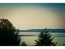 _DSC3597 - �����.jpg