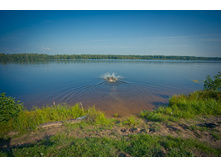 _DSC3979 - �����.jpg