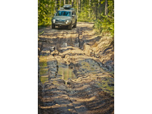 _DSC4124 - �����.jpg