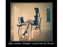 15.08.2013 14:24:33