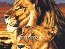 273249_1[1].jpg