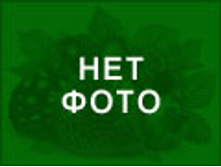270�