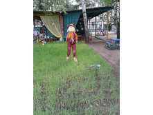 ����-0008.jpg