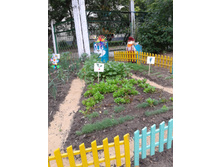 ����-0011.jpg