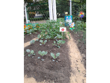 ����-0012.jpg