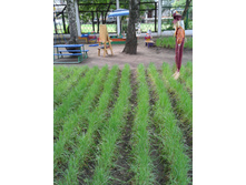 ����-0018.jpg