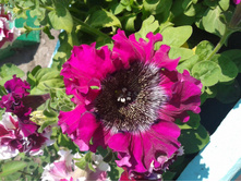 ����-0021.jpg