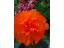 ����-0023.jpg