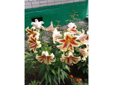 ����-0028.jpg