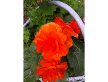 ����-0029.jpg