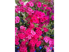 ����-0035.jpg